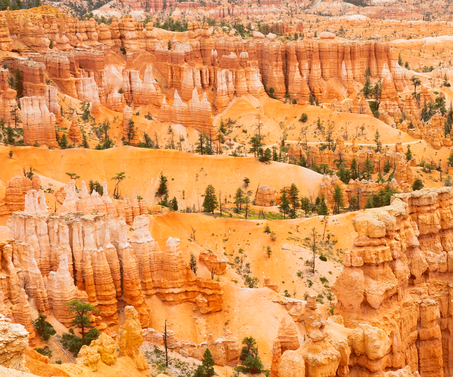 FUN STUFF image Bryce-Canyon_01.GIF